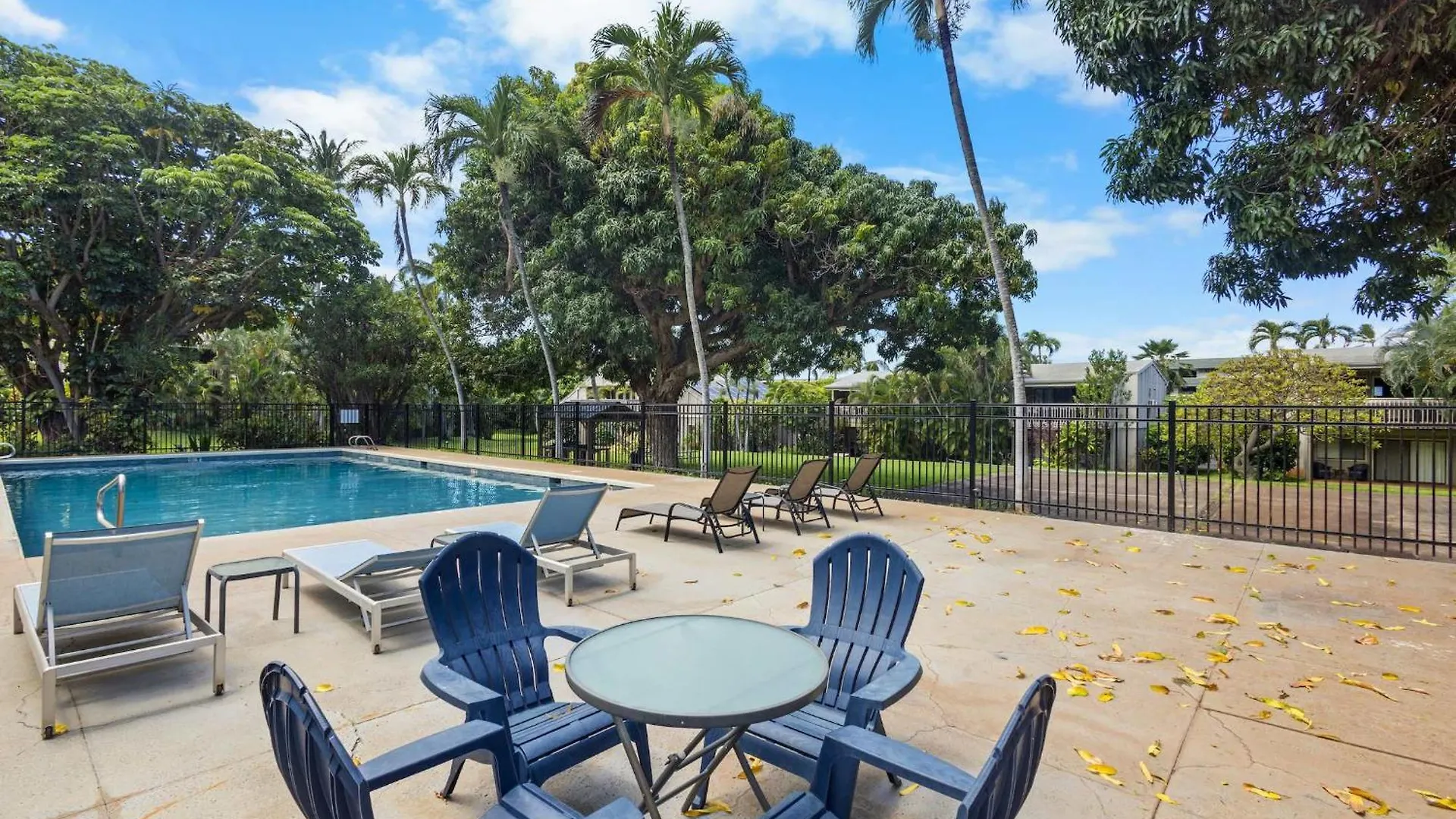 Direct Oceanfront Beach Pohailani Studio - New Kahana